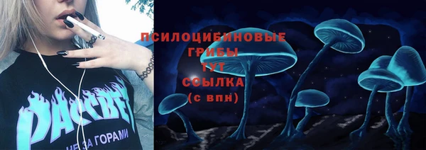 ПСИЛОЦИБИНОВЫЕ ГРИБЫ Арсеньев