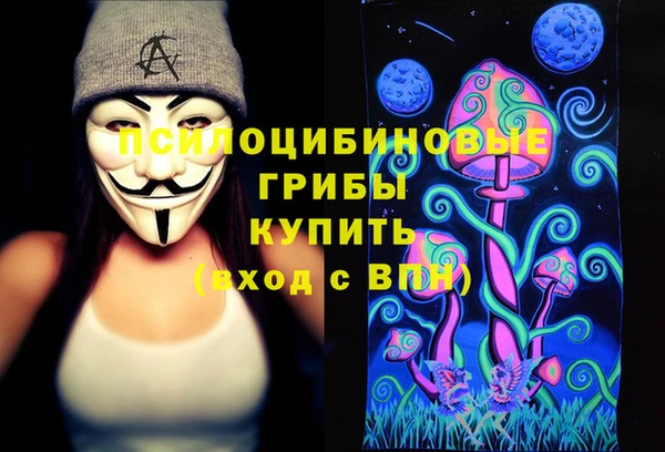 ПСИЛОЦИБИНОВЫЕ ГРИБЫ Арсеньев