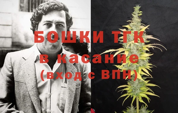 ПСИЛОЦИБИНОВЫЕ ГРИБЫ Арсеньев